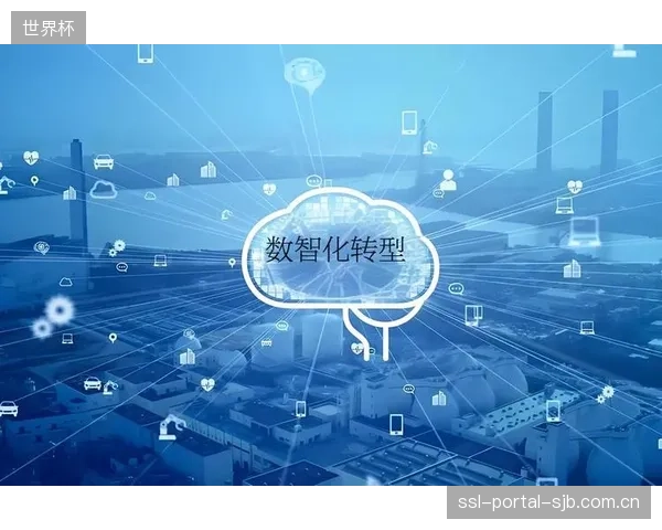 12%的商业转化率揭示了数智化监测在打通体育旅游“从看到买”闭环中的潜力
